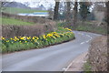 Mid Devon : Hele Road