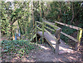 Walkway: Berengrave Nature Reserve