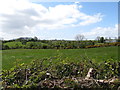 Undulating countryside west of Divernagh Road, Bessbrook