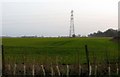 Electricity pylon in a field