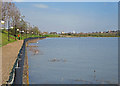 Martin Earles Wharf: high tide