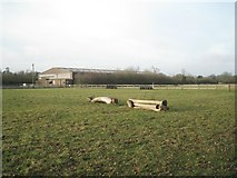 SP1972 : Covered manège and jumps, Swallowfield Stud, Kingswood by Robin Stott