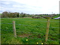 Edenderry Townland