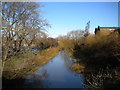 River Sow north of Stafford town centre