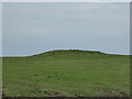 Tumulus on St Breock Downs