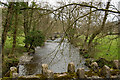 Looking up the river Bray from Shallowford Bridge