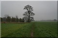 Leeds Country Way towards Scholey Hill