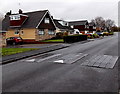 Speed bumps across Fair View, Chepstow