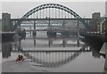 NZ2563 : Bridge over the Tyne by Dave Pickersgill