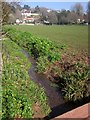 Ilsham Valley Stream