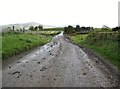 Mud on Mcclenaghans Hill