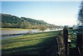 The Aeron in flood, Tan-yr-Allt