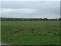 Farmland, Croft Farm