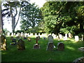 St Mary, Netherbury: churchyard (10)