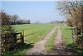 Farm track near Glover