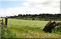 Looking south-eastwards across a hayfield towards the Kingsmill Road