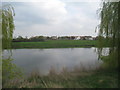 Holme from across the Trent