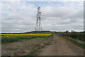 SK8737 : Track and Pylon in a field of Oil Seed Rape by J.Hannan-Briggs