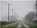 Borough Mere Lane in the mist