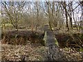 Woodland path near Bowling