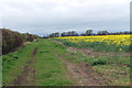 Track near the deserted Medieval Village of West Carthorpe