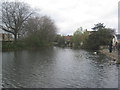 Mill Dam, Tickhill