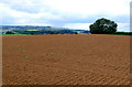 SP1740 : Fields at Rye Piece Farm by Nigel Mykura