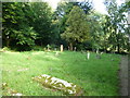 St Mary, Netherbury: churchyard (18)