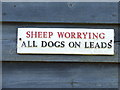 Sheep Worrying