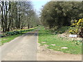 Driveway To Haddon Hall