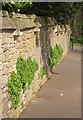 Wall, Goodeve Road, Sneyd Park