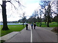 Walking in the park, Lisburn