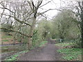 Footpath towards Willow Wood