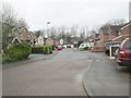 Old Mill View - viewed from Caldermill Way