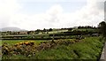 Pastoral scene on Derrywilligan Road