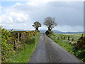 J0331 : View SSE along Derrywilligan Road by Eric Jones