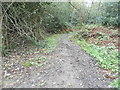 Path leading to Great Bookham Common