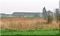 Decoy Farm, on the south side of the Dutch River