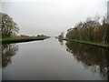 Aire & Calder Navigation, north of Decoy Farm