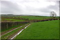 Trac a caeau ger Coedlys / Track and fields near Coedlys