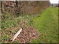 Community Forest Path in Shirehampton Park