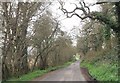 Horsebridge Road through Clapgate Copse