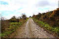 Track up Brownside Braes