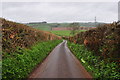 Taunton Deane District : Country Lane