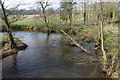 The River Churnet from Quixhill Bridge