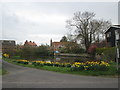 The village pond, Ferrensby