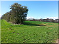 Cultivated farmland at Moorside