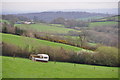 Taunton Deane District : Grassy Field