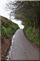 Taunton Deane District : Country Lane