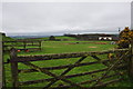 Taunton Deane District : Grassy Field